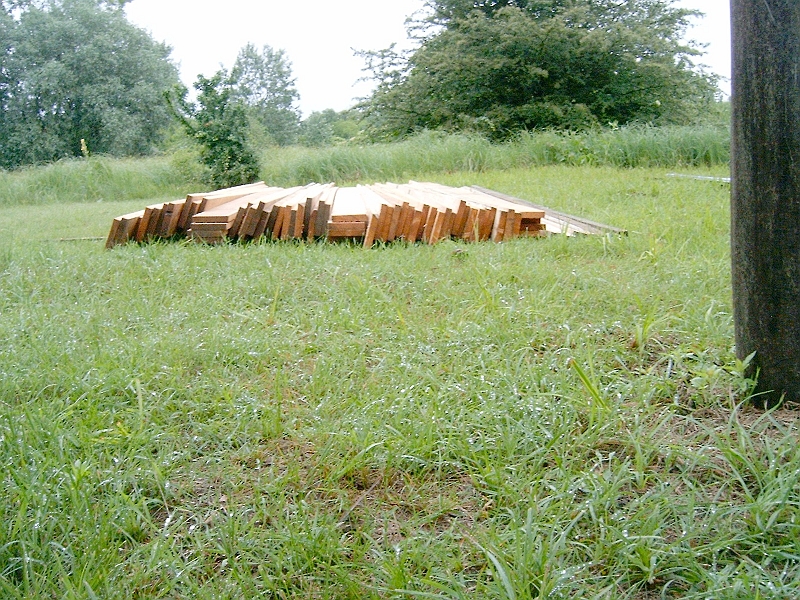20100604 013.jpg